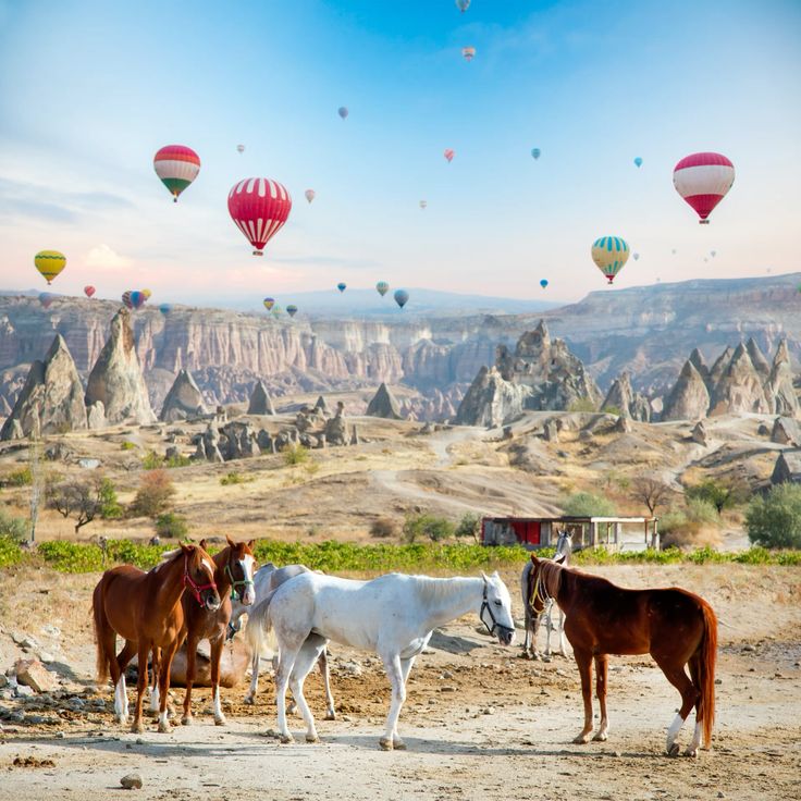 1 Saatlik Tur - 15 Euro